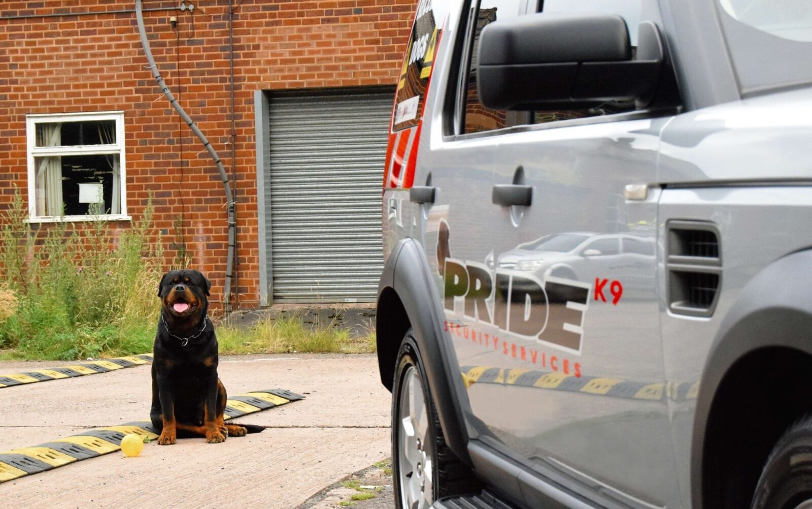 Rottweiler sitting beside a Pride K9 Security vehicle in front of a brick building